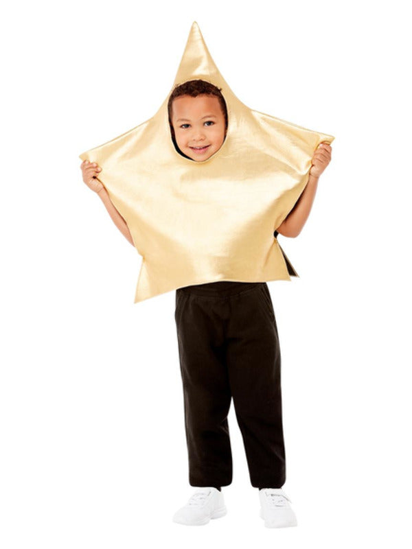 Unspecified Toddler Shining Star Costume