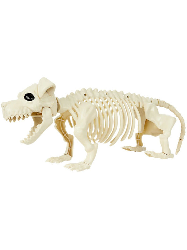 Dog Skeleton Prop Natural