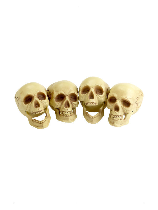 Unspecified Skull Heads Natural