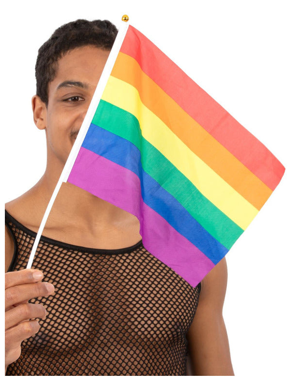 Hand Held Rainbow Flags 45x30cm 12Pk