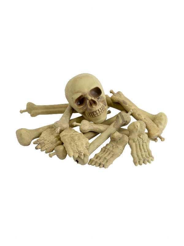 Unspecified Bag of Bones Skull Natural