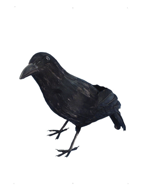 Crow Black