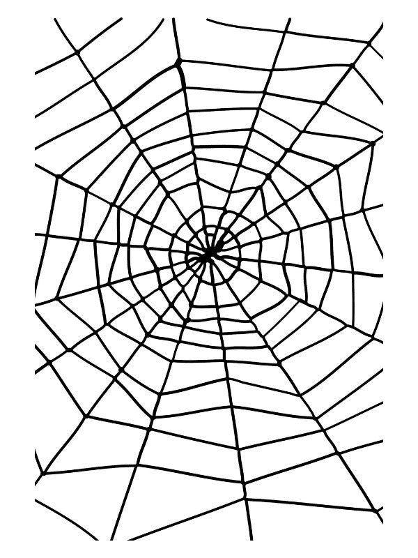 Spider  Spiders Web Black