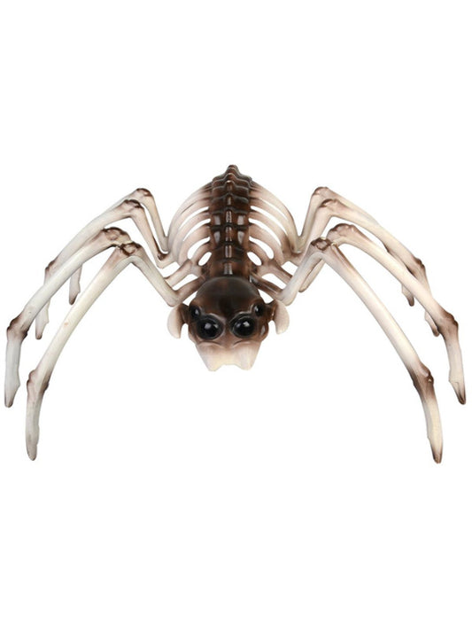 Unspecified Spider Skeleton Prop